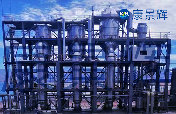 產(chǎn)固量2.5t/h溴化鈉三效蒸發(fā)器